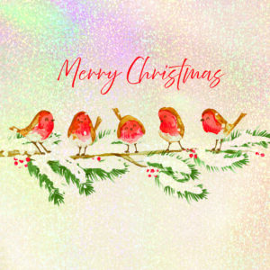 Christmas Cards: Robin